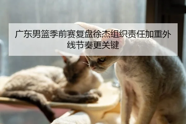 广东男篮季前赛复盘徐杰组织责任加重外线节奏更关键