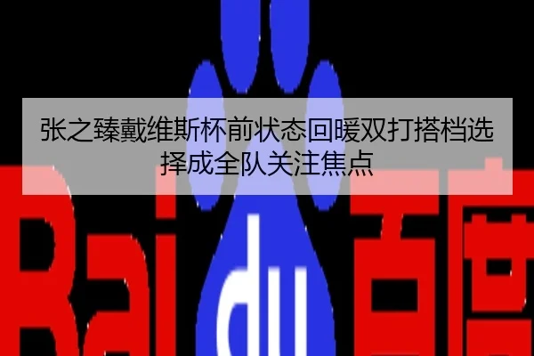 张之臻戴维斯杯前状态回暖双打搭档选择成全队关注焦点